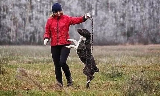 Pieszczotliwy, towarzyski i ufny Gustaw cierpi za