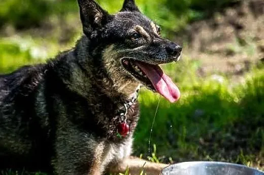 Baster mistrz zabaw! Kto go pokocha ?,  lubelskie 