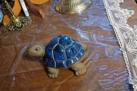 ŻÓLW GLINA CERAMIKA, Wielkopolskie, Poznań