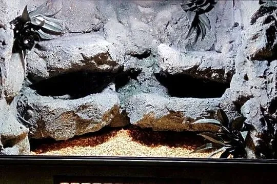 Terrarium dla agamy brodatej żółwia greckiego gekona lamparciego