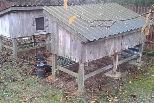 Klatki dla królików