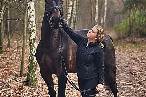 Klacz niemiecki koń, Rosanów