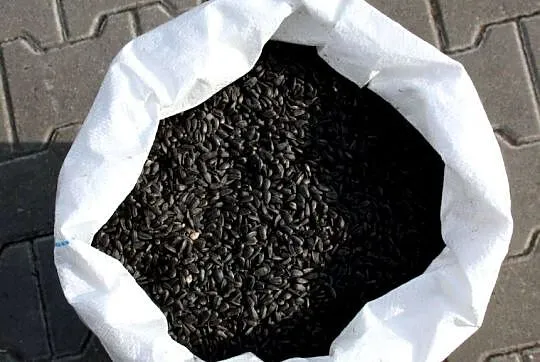 Słonecznik CZARNY Drobny, CZYSTY 30kg karma dla ptaków, Śląskie, Cieszyn