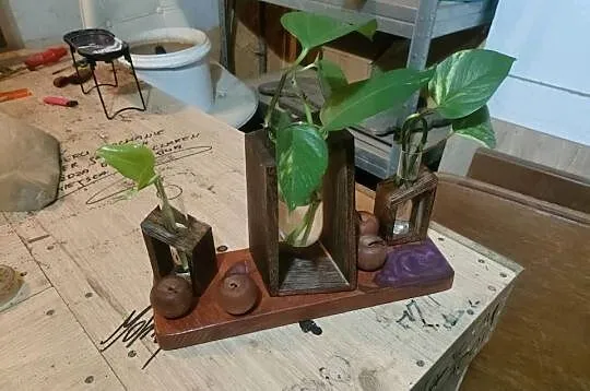 Szklane Terrarium Z Probówkami, Terrarium Dla Roślin Z Drewnianym Stojakiem, Małopolskie, Łężkowice
