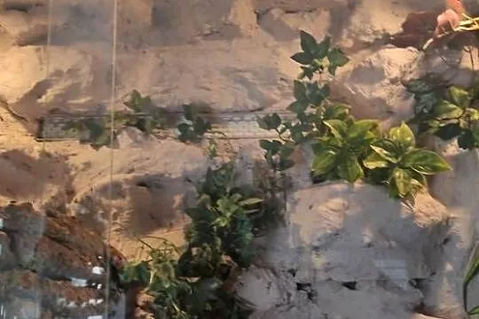 Fajne Terrarium !!!, Małopolskie, Kraków