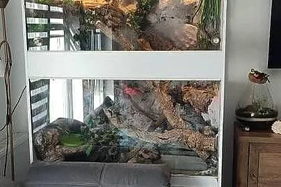 Fajne Terrarium !!!, Małopolskie, Kraków