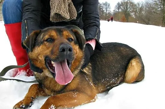 Mafi rodzinki poszukuje :) Całe swoje serduszko w 