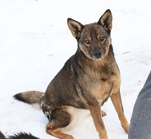 JAK nie TY to KTO ?! MRÓWKA czeka NA DOM!!!, mazo
