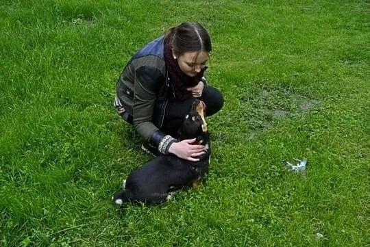 Nieśmiała Falka szuka domu