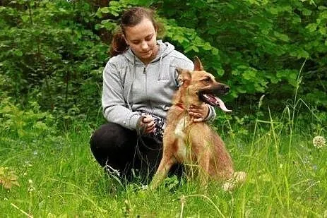 Majka - piękna panienka szuka domu,  mazowieckie W
