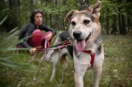 Wybierz Nelsona! Adoptuj!,  mazowieckie Warszawa