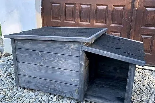 Buda dla psa ocieplana