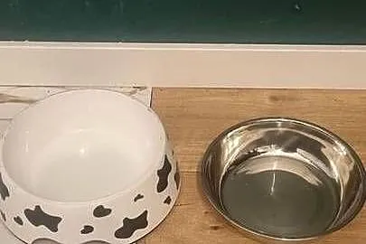 Miska dla psa Milla 1500ml, Mazowieckie, Kaliszki