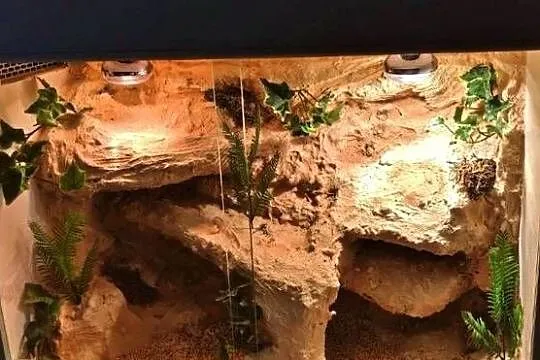 Terrarium pustynne dla agamy brodatej gekona lamparciego