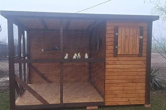 Kurnik woliera, Wielkopolskie, Konin