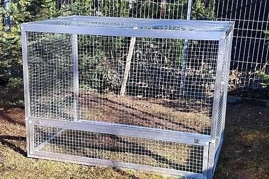 Wyloty dla gołębi, Śląskie, Częstochowa