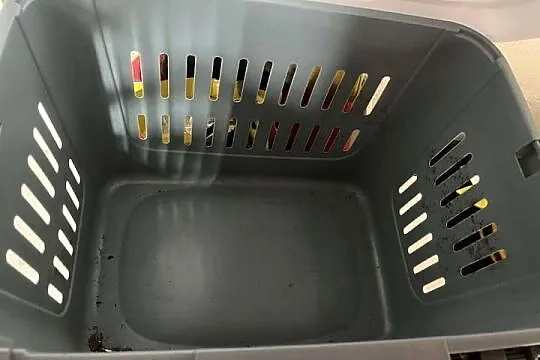 Transporter dla Kota, Łódzkie, Radomsko