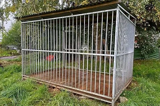 Kojec ocynkowany