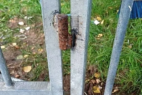 Kojec ocynkowany, Śląskie, Bielsko-Biała