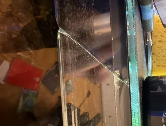 Boa dusiciel Albino (samiec 4 lata + Terrarium 120x60x60) z osprzetem i szafka, Mazowieckie, Warszawa