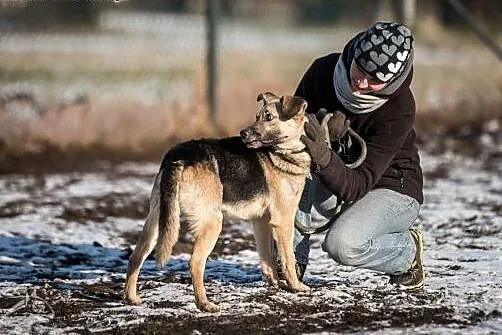 Mikołaj pokaże Ci co to miłość. ,  dolnośląskie Wr