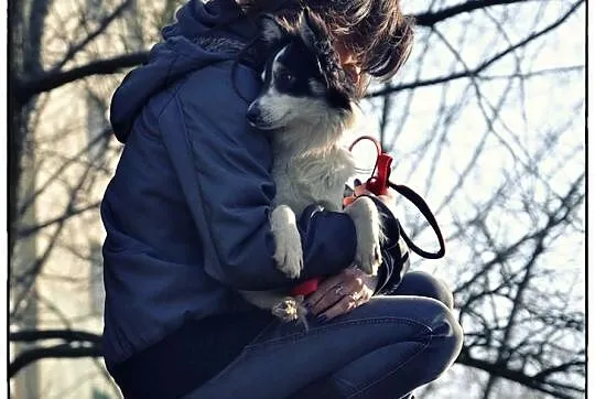 CUDOWNA KOKO do adopcji!