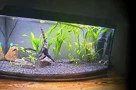 Akwarium 100 l