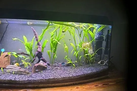 Akwarium 100 l, Łódzkie, Szczerców