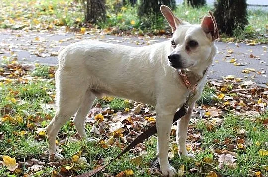 STAŚ - pokochaj tego cudaka!, Łódzkie, Łódź