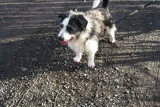 Funt czeka na odpowiedzialny dom,  mazowieckie War