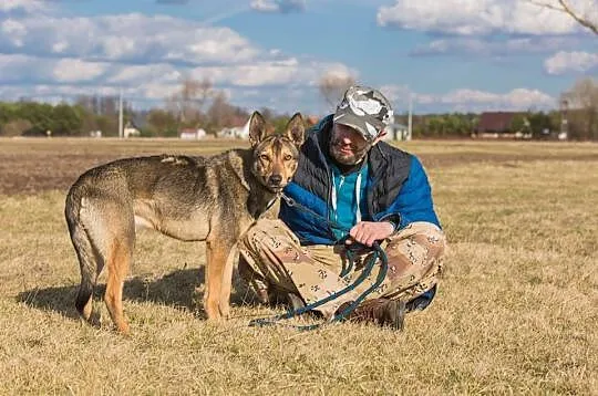 Kochający ludzi Radar, bezkonfliktowy pies o hipno