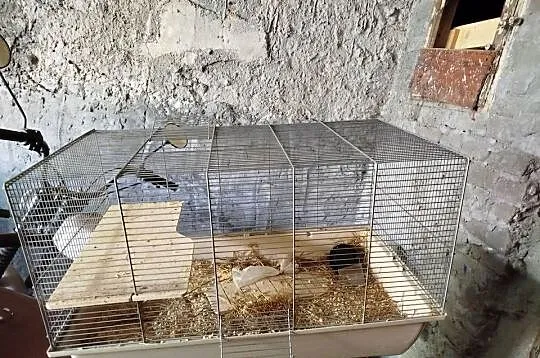 Duża klatka dla zwierzaka