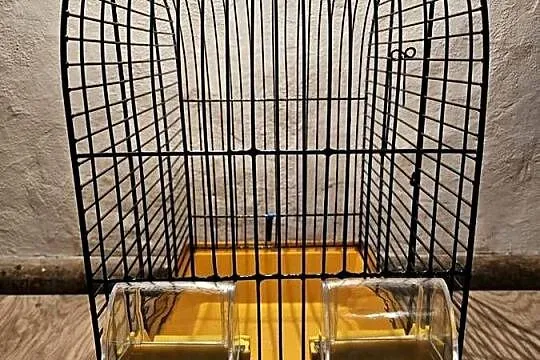 klatka dla ptaków kanarek zeberka jak nowa, Wielkopolskie, Kalisz