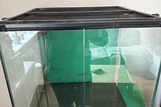 Terrarium exo terra 45x55
