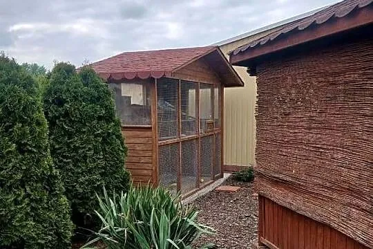Papugi faliste młode kolorowe, Mazowieckie, Goździk
