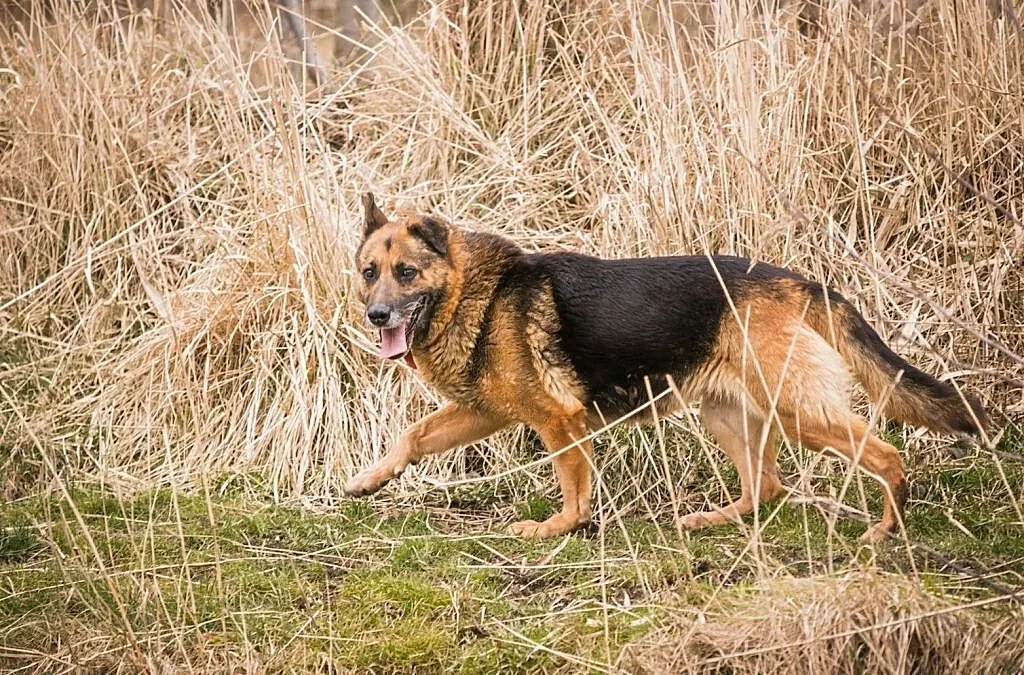 Torka zmarnowała 10 lat za kratami! Nikt jej nie chce..., Śląskie, Częstochowa