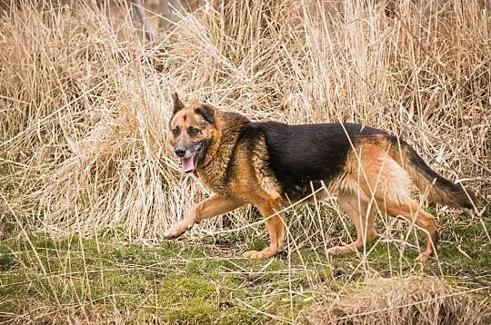 Torka zmarnowała 10 lat za kratami! Nikt jej nie chce..., Śląskie, Częstochowa