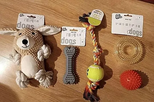 Zestaw zabawek dla psa idealny dla Psikołaja