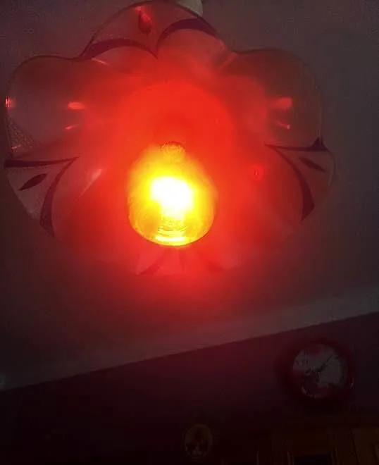 Żarówka kwoka 500W, Świętokrzyskie, Dobrowoda