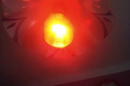 Żarówka kwoka 500W, Świętokrzyskie, Dobrowoda