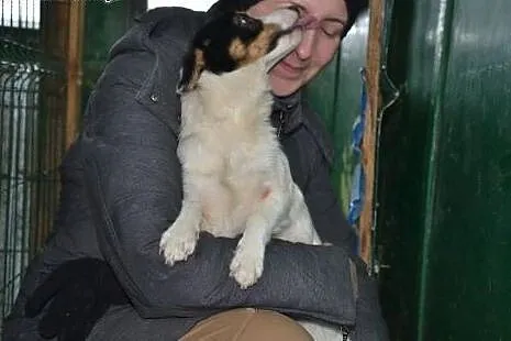 Lotos jest bardzo małym psiakiem, schronisko to ni