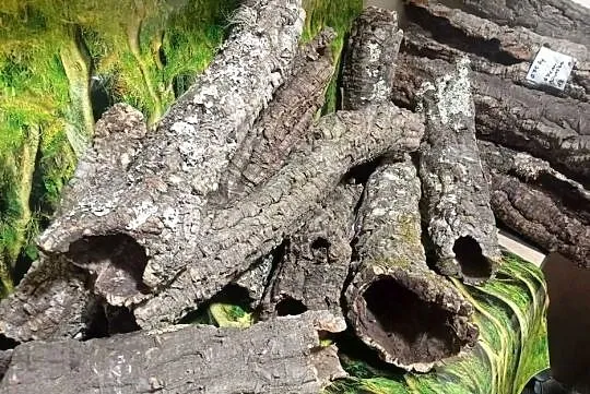 Tuba korkowa 15-45 cm Tuby korkowe do terrarium, Wielkopolskie, Ostrów Wielkopolski