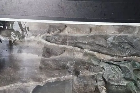 Terrarium dla agamy brodatej, Śląskie, Pisarzowice