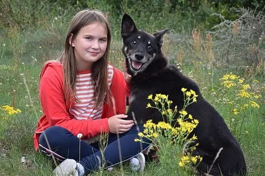 Przyjazny psi senior szuka kochającego domu!