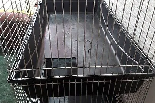 Klatka dwupoziomowa dla gryzoni, Dolnośląskie, Wołów