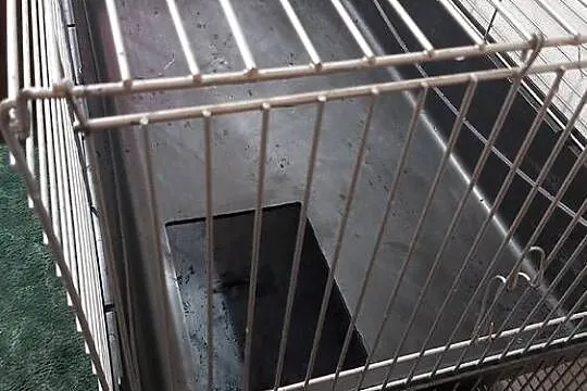 Klatka dwupoziomowa dla gryzoni, Dolnośląskie, Wołów