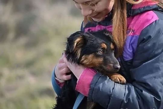 Zuzia z lasu do adopcji !