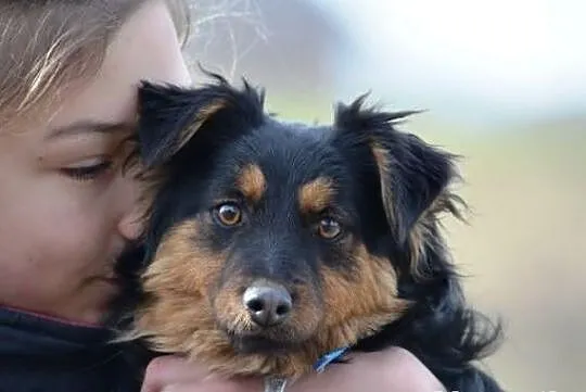 Zuzia z lasu do adopcji !