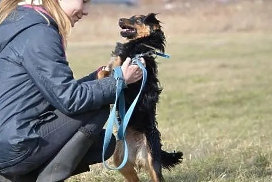 Zuzia z lasu do adopcji !