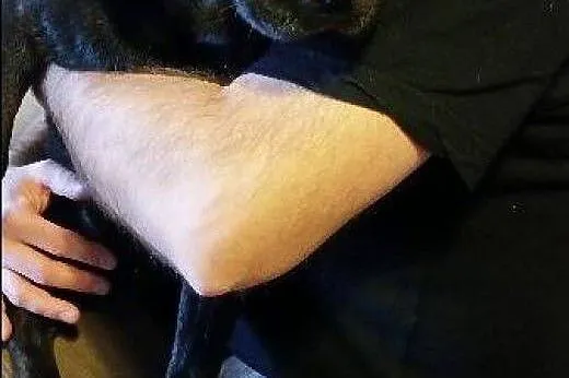 6  miesięczna Ziutka do adopcji,  łódzkie Łódź